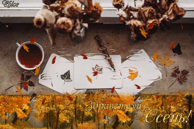 Анимация Цветы и чашка чая на мокром столе, плавно переходящим в осенний пейзаж, листопад, (Здравствуй Осень!), by Chloe, гифка