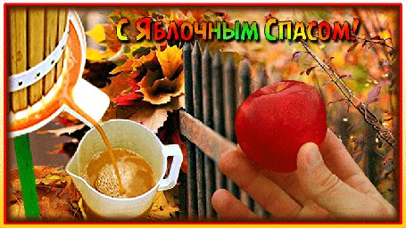 Анимация На фоне осеннего сада мужская рука держит яблоко, рядом льется сок. (С Яблочным Спасом!)