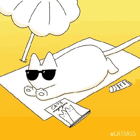 Анимация Кот лежит на пляже под зонтиком / by Catass Gato