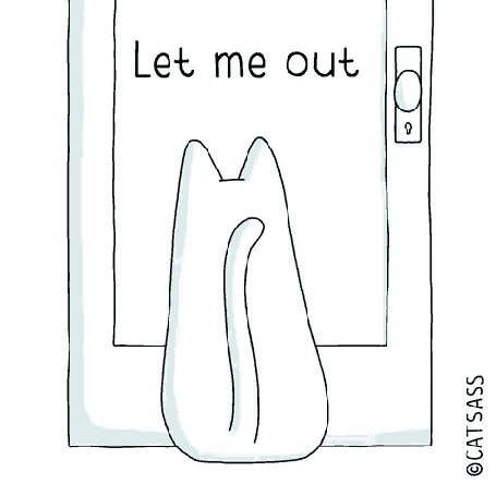 Анимация Kот сидит перед дверью, на которой надпись Let Me Out - Let Me in / Выпусти меня - Пусти меня внутрь / by Catass Gato