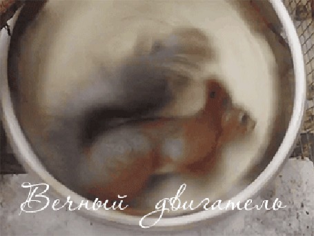 Анимация Вечный двигатель из белки