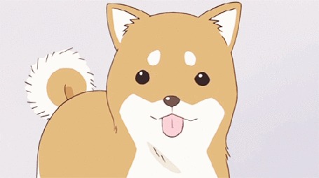 Анимация Щенок Сиба-ину / Shiba Inu, высунув язык, машет хвостом