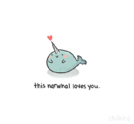 Анимация Нарвал признается в любви (this norwhal loves you / этот нарвал любит тебя)