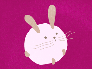Анимация Появление на розовом фоне белого пухлого кролика, гифка Появление на розовом фоне белого пухлого кролика