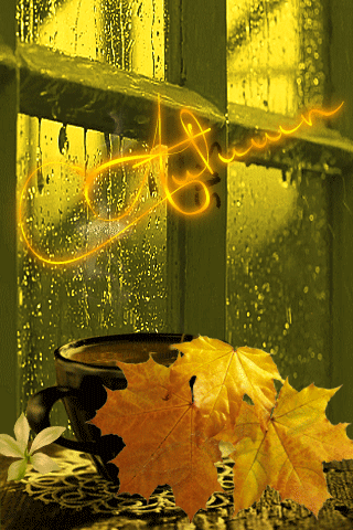 Анимация Чашка с кофе и осенние листья у окна, за которым идет дождь, (autumn / осень), гифка Чашка с кофе и осенние листья у окна, за которым идет дождь, (autumn / осень)