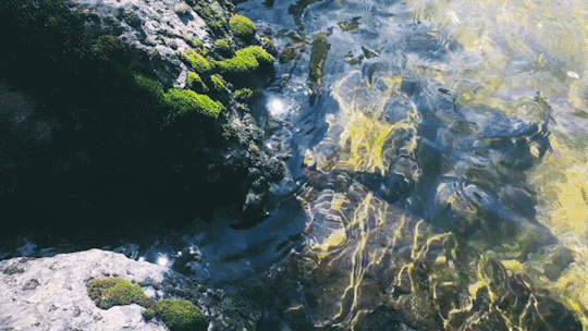 Анимация Прозрачная речная вода, гифка Прозрачная речная вода