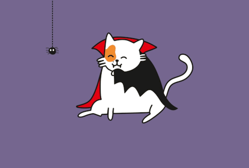 Анимация Рыже-белый кот-дракула с черным пауком на сиреневом фоне, гифка Рыже-белый кот-дракула с черным пауком на сиреневом фоне