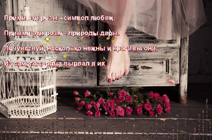 Анимация Под ногами у девушки, сидящей на комоде, на полу лежит букет алых роз рядом с пустой ажурной клеткой для птиц, (Прими эти розы - символ любви, Прими эти розы - природы дары. Почувствуй насколько нежны и красивы они, из самого сердца вырвал я их), исходник от фотографа Nora Drugan, автор Chloe, гифка Под ногами у девушки, сидящей на комоде, на полу лежит букет алых роз рядом с пустой ажурной клеткой для птиц, (Прими эти розы - символ любви, Прими эти розы - природы дары. Почувствуй насколько нежны и красивы они, из самого сердца вырвал я их), исходник от фотографа Nora Drugan, автор Chloe