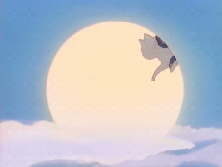Анимация Usagi Tsukino / Усаги Цукино и кошка Luna / Луна на фоне луны. АнимеSailor Moon / Сейлор Мун