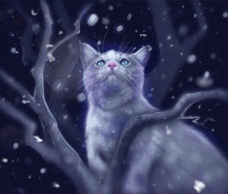 Анимация Кошка на дереве под падающим снегом, by Followthepaws