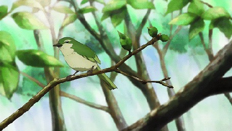 Анимация Птичка слетает с ветки