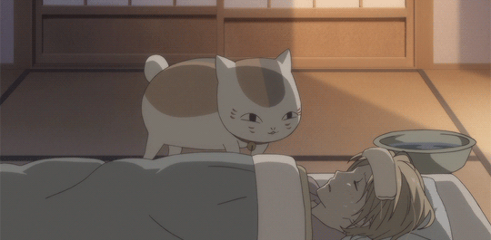 Анимация Nyanko-sensei / Нянко-сенсей ухаживает за больным Natsume Takashi / Такаси Нацумэ из аниме Natsume’s Book of Friends / Natsume Yuujinchou / Тетрадь дружбы Нацумэ, гифка Nyanko-sensei / Нянко-сенсей ухаживает за больным Natsume Takashi / Такаси Нацумэ из аниме Natsume’s Book of Friends / Natsume Yuujinchou / Тетрадь дружбы Нацумэ