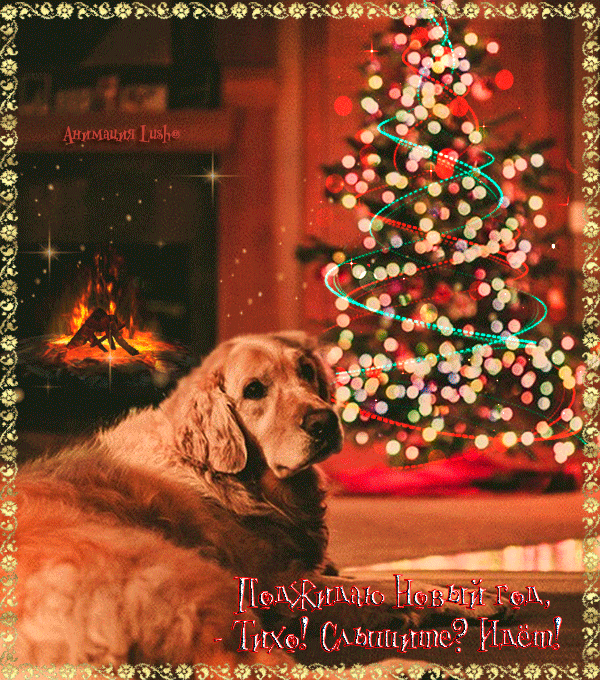 Анимация Собака лежит рядом с красивой елкой (Поджидаю новый год, Тихо! Слышите? Идет!), гифка Собака лежит рядом с красивой елкой (Поджидаю новый год, Тихо! Слышите? Идет!)