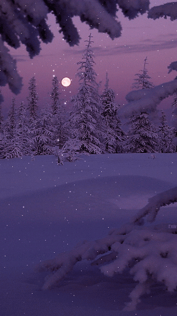 Анимация Искрящийся медленно падающий снег, by tanysha3331, гифка Искрящийся медленно падающий снег, by tanysha3331