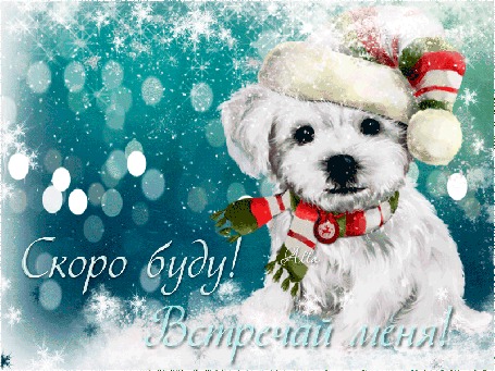 Анимация Милая белая собачка