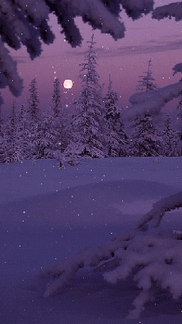 Анимация Искрящийся медленно падающий снег, by tanysha3331