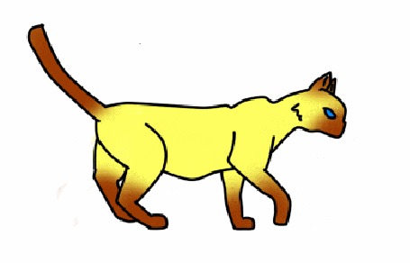 Анимация Голубоглазая сиамская кошка куда - то спешит