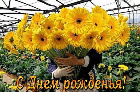 Анимация Букет желтых цветов (С днем рождения!)