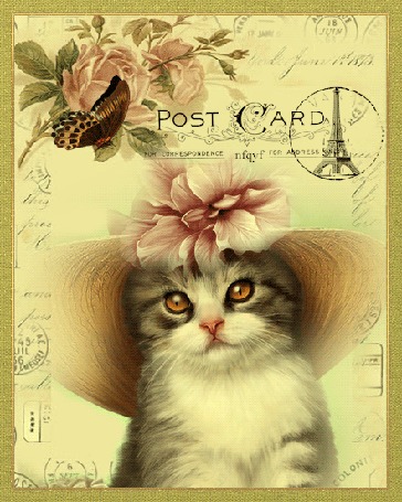 Анимация Кошечка в шляпке и бабочка на почтовой открытке (Post Card), by nfgyf