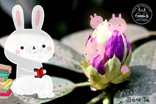 Анимация Белый кролик читает книжку духам цветка, by yoyothericecorpse, гифка Белый кролик читает книжку духам цветка, by yoyothericecorpse