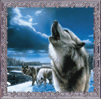 Анимация Воющие волки на фоне природы, гифка Воющие волки на фоне природы