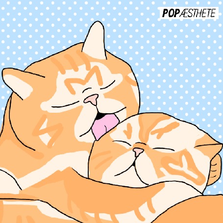 Анимация Один котик умывает второго, by popaesthete