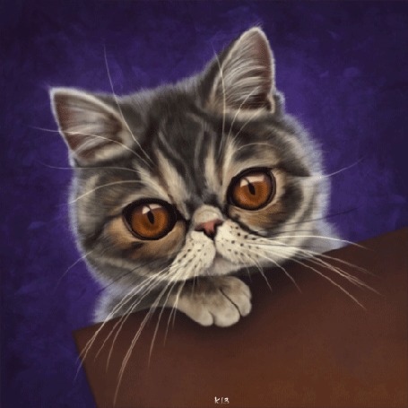 Анимация Полосатый котик на сиреневом фоне, by teaformanatee