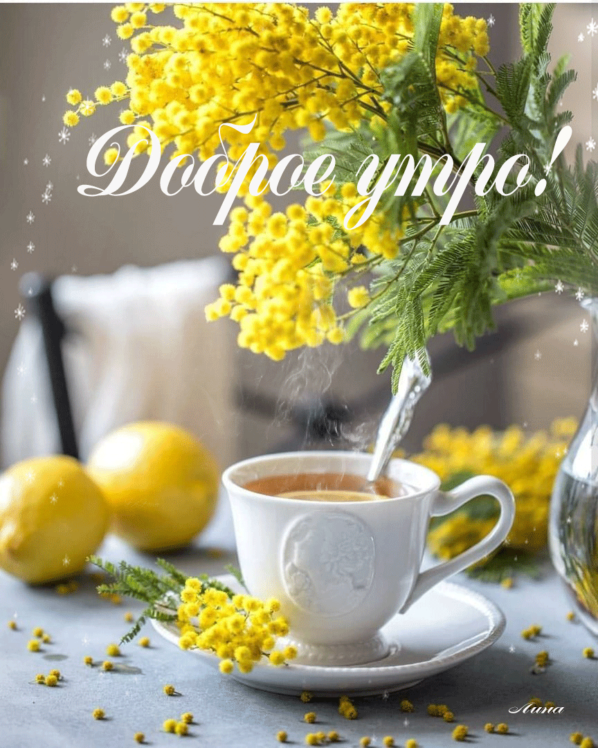 Анимация Чай с лимоном в белой чашке среди лимонов и мимозы (Доброе утро!), гифка Чай с лимоном в белой чашке среди лимонов и мимозы (Доброе утро!)