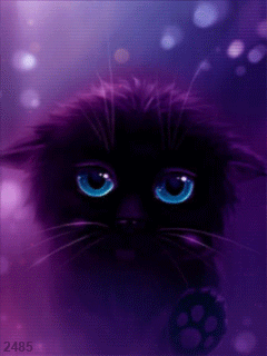 Анимация Черная кошечка с голубыми глазами, гифка Черная кошечка с голубыми глазами