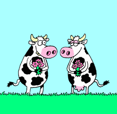 Анимация Две коровы собирают букеты цветов, гифка Две коровы собирают букеты цветов