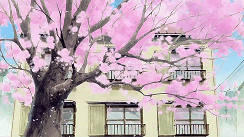 Анимация Цветущее весеннее дерево на фоне здания, гифка Цветущее весеннее дерево на фоне здания
