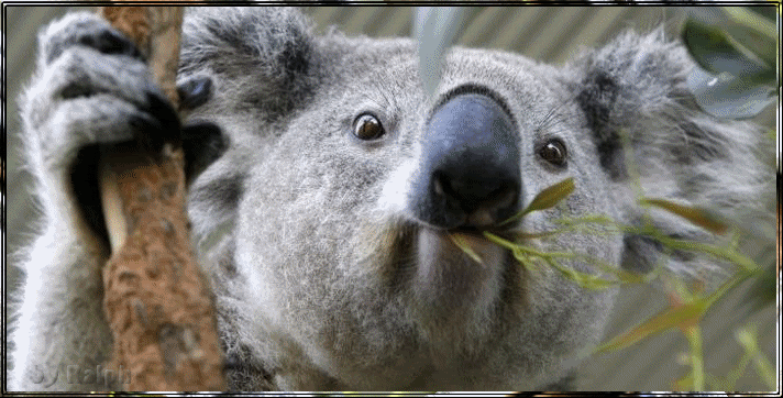 Кездейсоқ писка фотосын көрдім Араб әйелдерінің ішінде жасырын камера