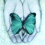 Анимация Зеленая бабочка в руках, гифка Зеленая бабочка в руках