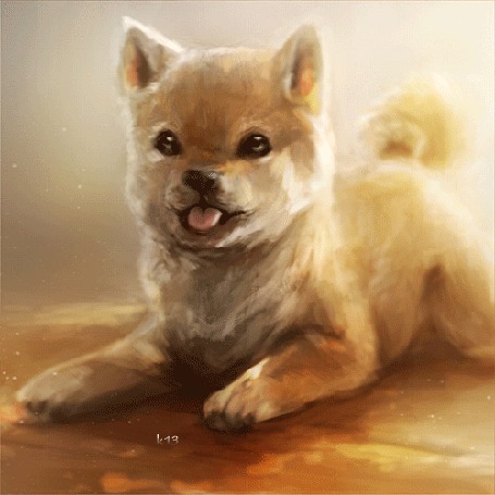 Анимация Щенок шиба-ину с высунутым языком лежит на полу, by Foxeaf