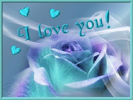 Анимация Бирюзово-сиреневая роза и сердечки (I love you / я люблю тебя)