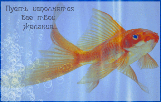 Анимация В голубой воде плещется золотая рыбка (Пусть исполнятся все твои желания), автор Zanoza, гифка В голубой воде плещется золотая рыбка (Пусть исполнятся все твои желания), автор Zanoza