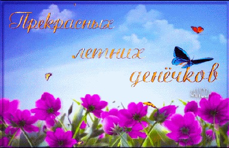 Анимация Над летним лугом с яркими цветами порхают бабочки на фоне яркого солнечного неба с тучками (Прекрасных летних денечков!), автор Zanoza
