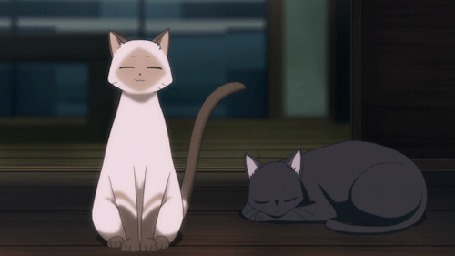 Анимация Чито / Chito и Кенни / Kenny из аниме Полет ведьмы / Flying Witch