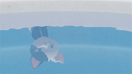 Анимация Котята отражаются в воде, аниме Chis Sweet Home / Милый дом Чи
