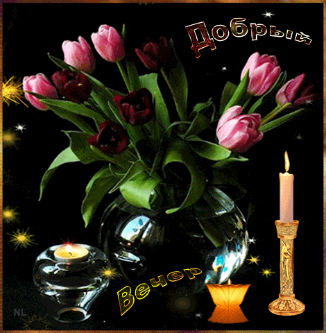 Анимация Красивые тюльпаны в вазе на фоне свечей (Добрый вечер), гифка Красивые тюльпаны в вазе на фоне свечей (Добрый вечер)