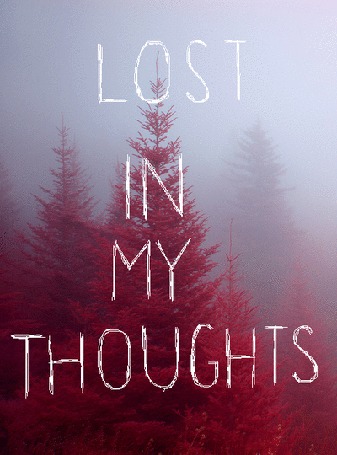 Анимация Фраза Lost in my thoughts / Потеряйся в моих мыслях на фоне туманного леса с красными елями