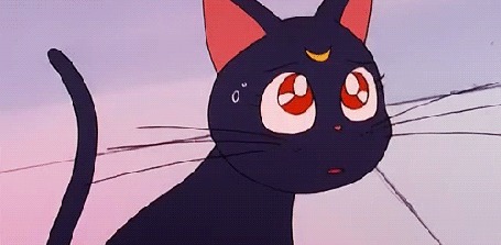 Анимация Луна / Luna из аниме Сейлор Мун / Sailor Moon
