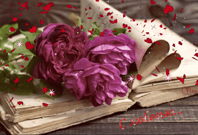 Анимация Три пышных хризантемы возлежат на раскрытой книге в плавающих сердечках, (С любовью.), гифка