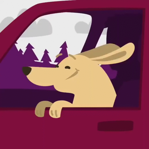 Анимация Радостная собака и недовольный кот едут в автомобиле, by urheinis, гифка Радостная собака и недовольный кот едут в автомобиле, by urheinis