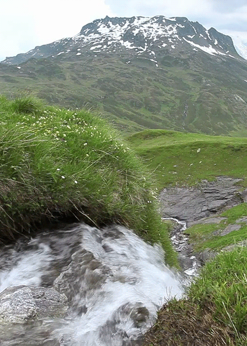 Анимация Горный ручей бурно несет свои воды, гифка Горный ручей бурно несет свои воды