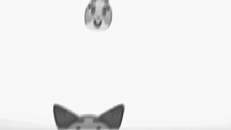 Анимация Judy Hopps / Джуди Хопс и Nick Wilde / Ник Уайлд из мультфильма Zootropolis / Зверополис