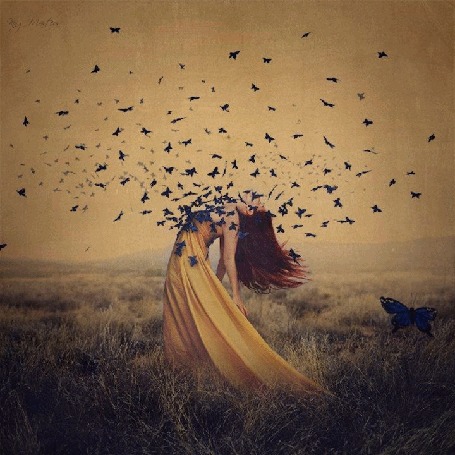 Анимация Девушка в окружении бабочек, bу Brooke Shaden