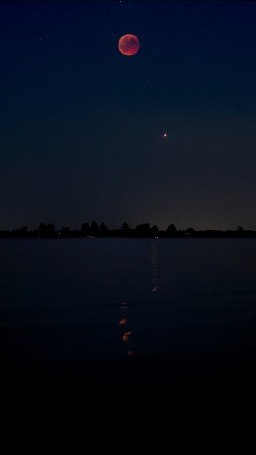 Анимация Луна на ночном небе отражается в воде