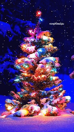 Аанимации Потрясающая новогодняя елочка ночью обалденно светит огнями