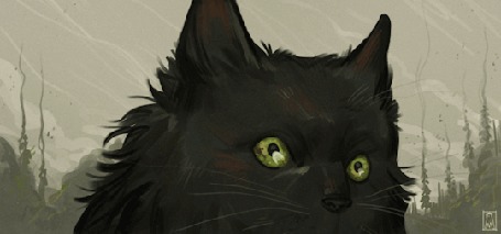 Анимация Черная кошка с зелеными глазами